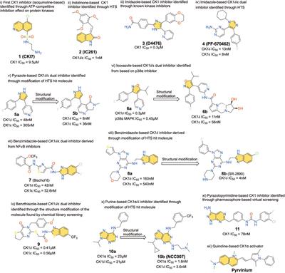 The protein kinase CK1: Inhibition, activation, and possible allosteric modulation